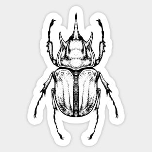 G's Rhino Beetle Sticker